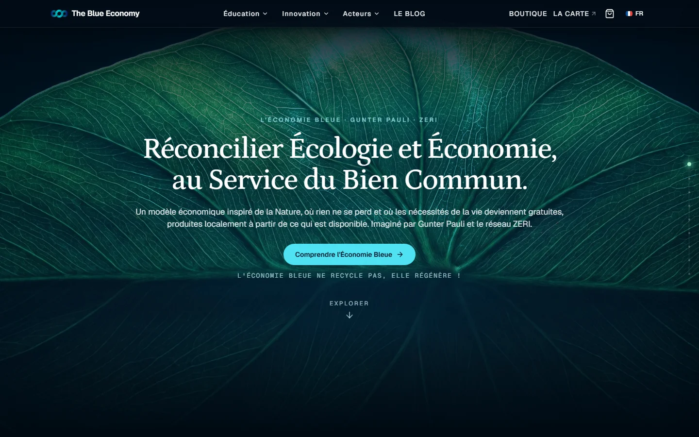 Capture du site The Blue Economy